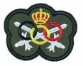 Belgisches Militaersportabzeichen